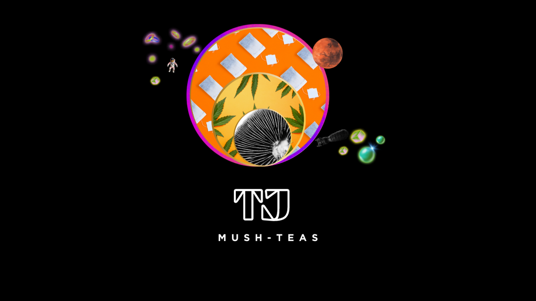 TJ Cann Mush-Teas